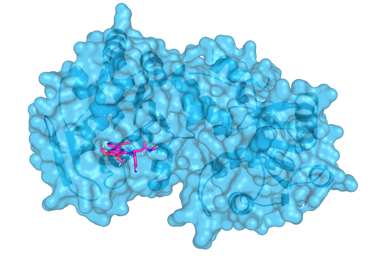 Ligand for PGK2 protein identified using CHEESE.