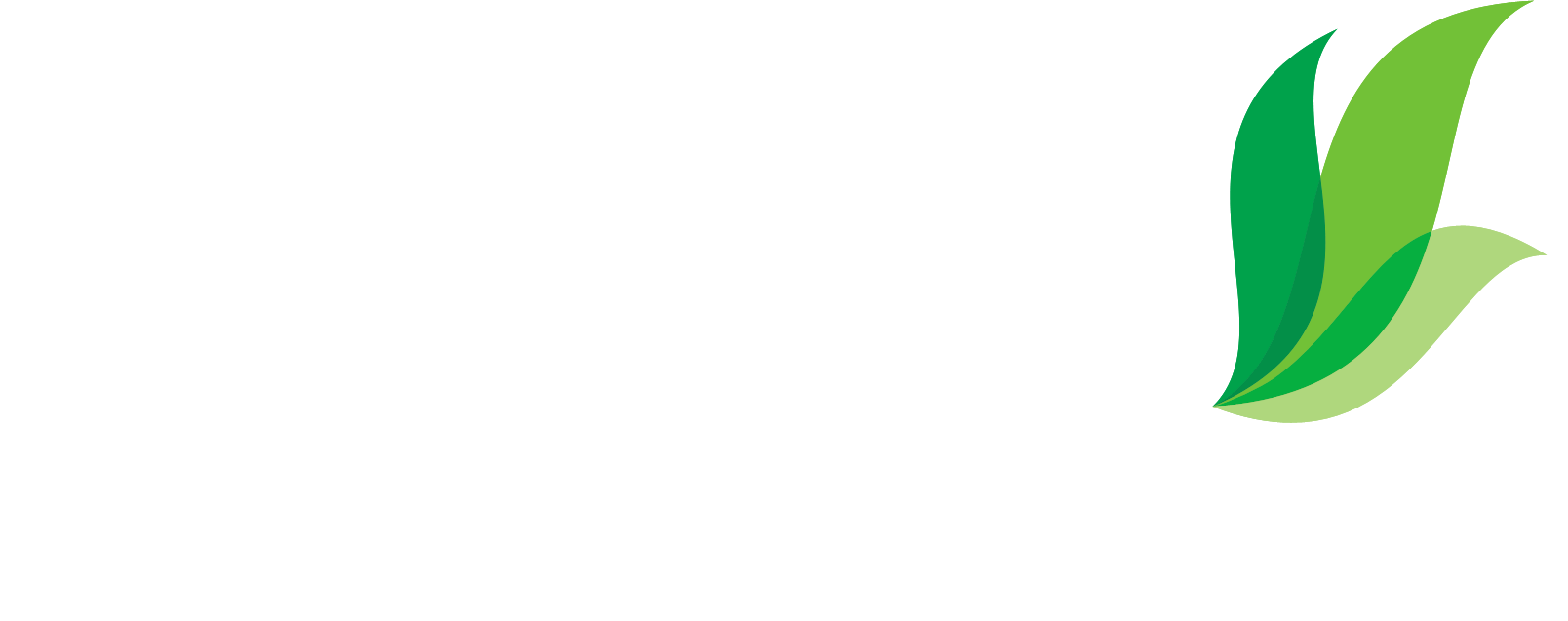 Otava